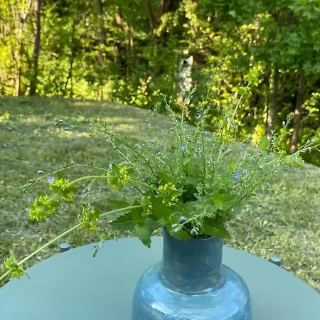 Rozsa Vendeghaz Ingyenes Parkolassal Homestay *