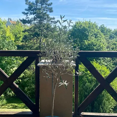 Rozsa Vendeghaz Ingyenes Parkolassal Homestay *