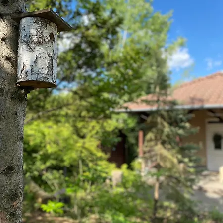 Alloggio in famiglia Rózsa Ingyenes Parkolással *
