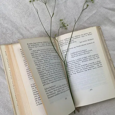 Homestay Rozsa Vendeghaz Ingyenes Parkolassal Nagykovacsi