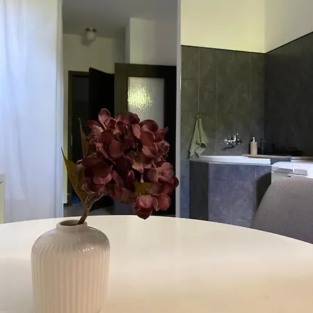 Homestay Rozsa Vendeghaz Ingyenes Parkolassal *