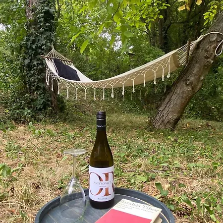 Rózsa Ingyenes Parkolással *