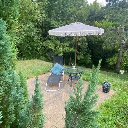 Rozsa Vendeghaz Ingyenes Parkolassal Homestay Nagykovacsi