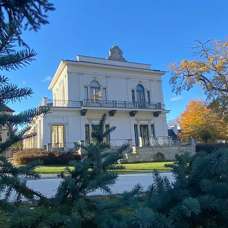 Rózsa Ingyenes Parkolással Nagykovacsi
