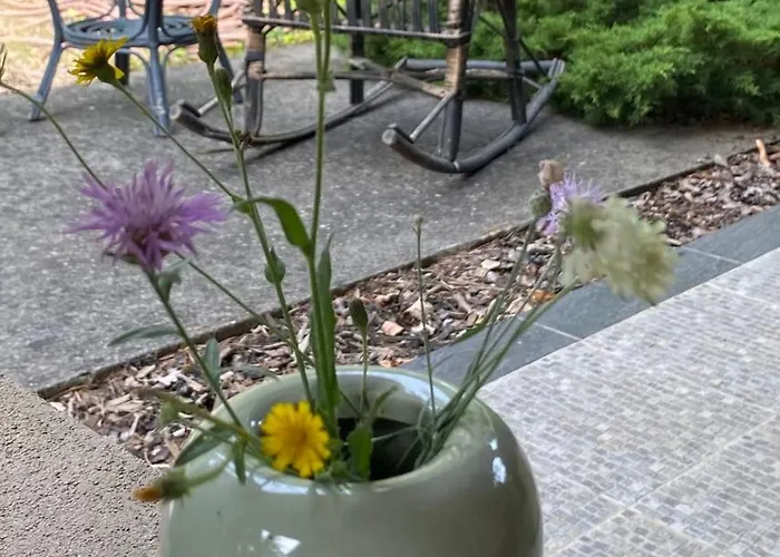 Rozsa Vendeghaz Ingyenes Parkolassal Nagykovácsi